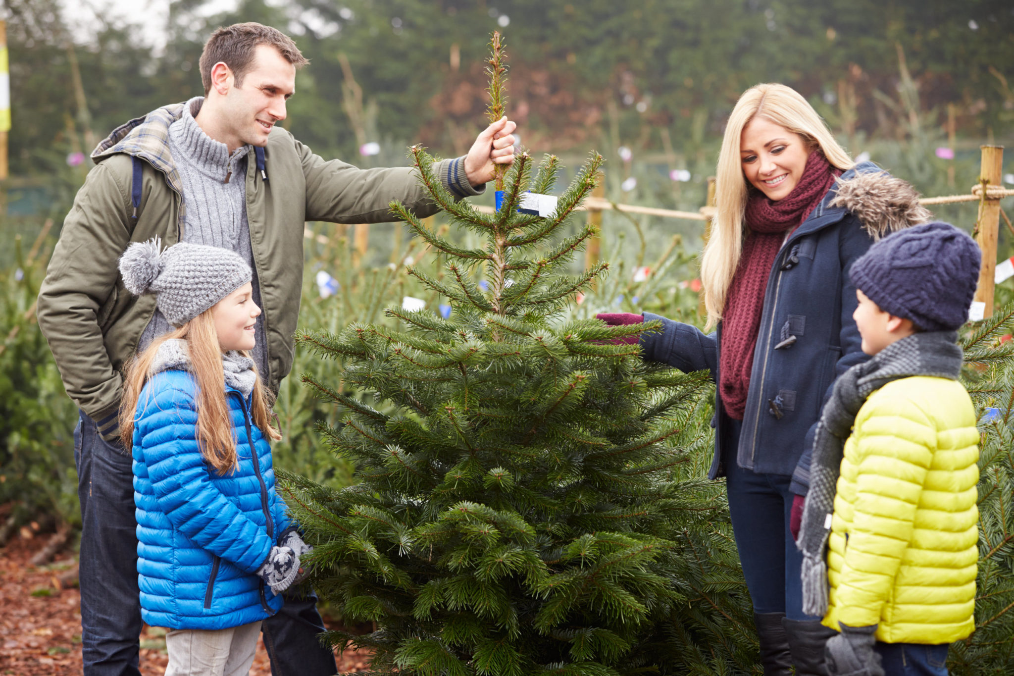 Family Choosing Christmas Tree Together