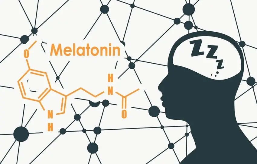 melatonin research study