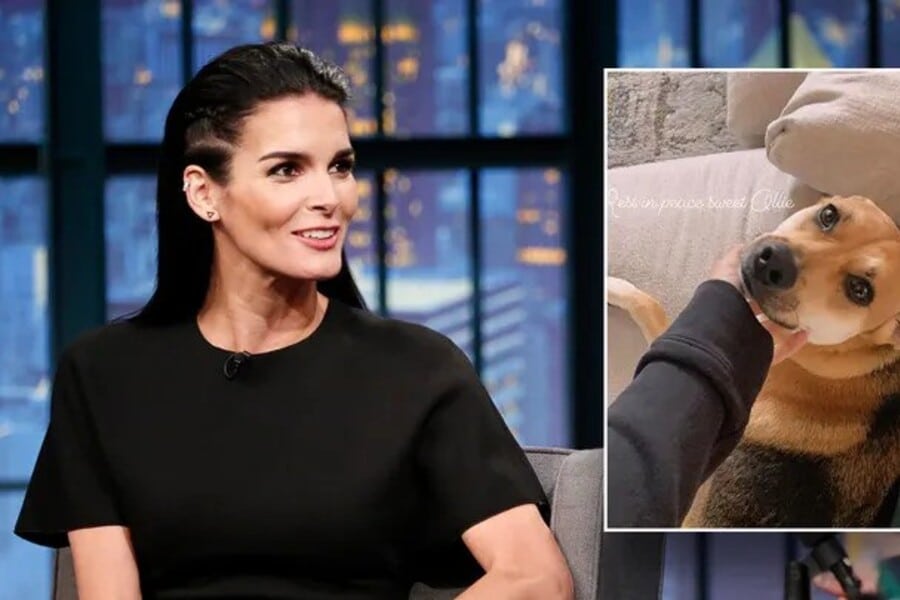 Angie Harmon Claims Instacart Delivery Driver Fatally Shot Her Dog